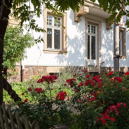 Altes Rathaus 4* Ruedesheim am Rhein